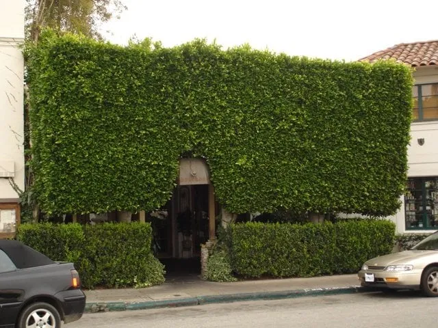 Slide of TNT RooterHome Repair