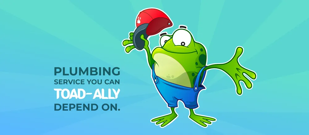 Slide of Toad's Plumbing