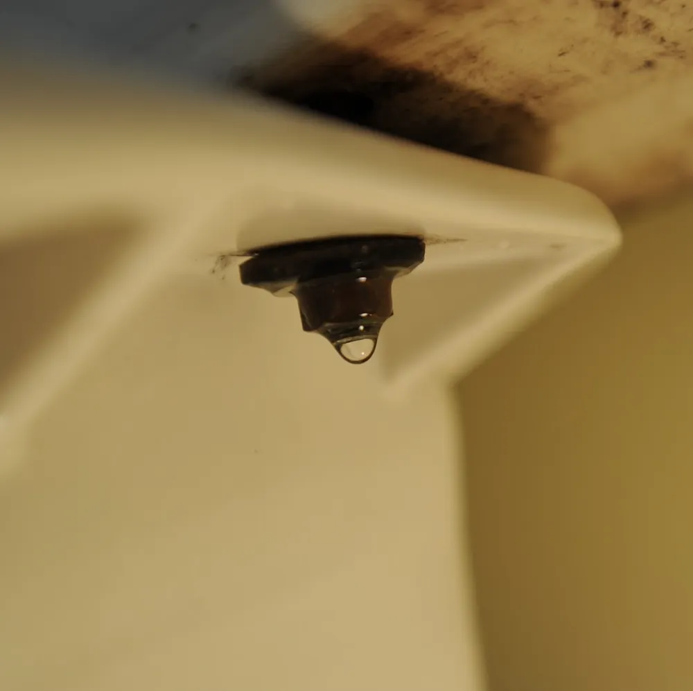 Slide of Toilet Repair Guy