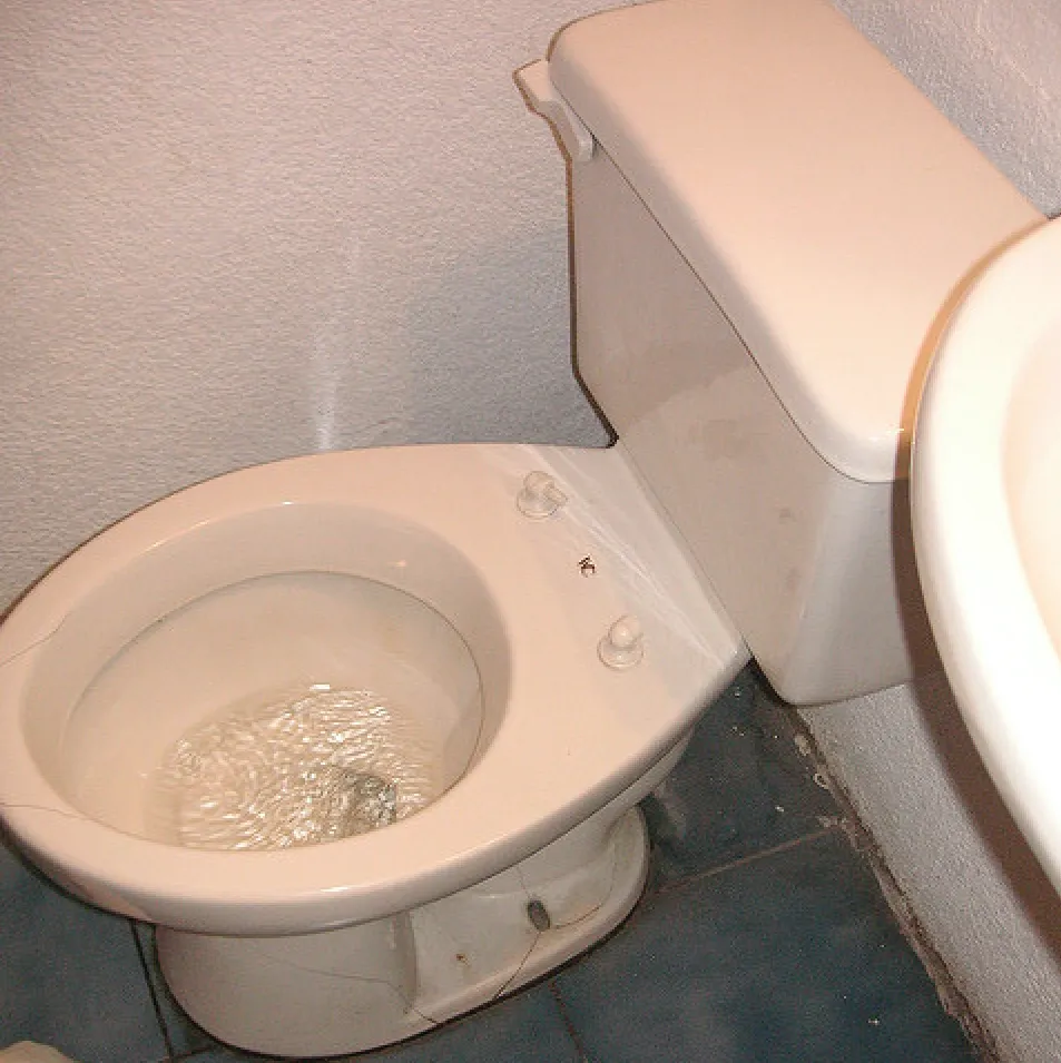 Slide of Toilet Repair Guy