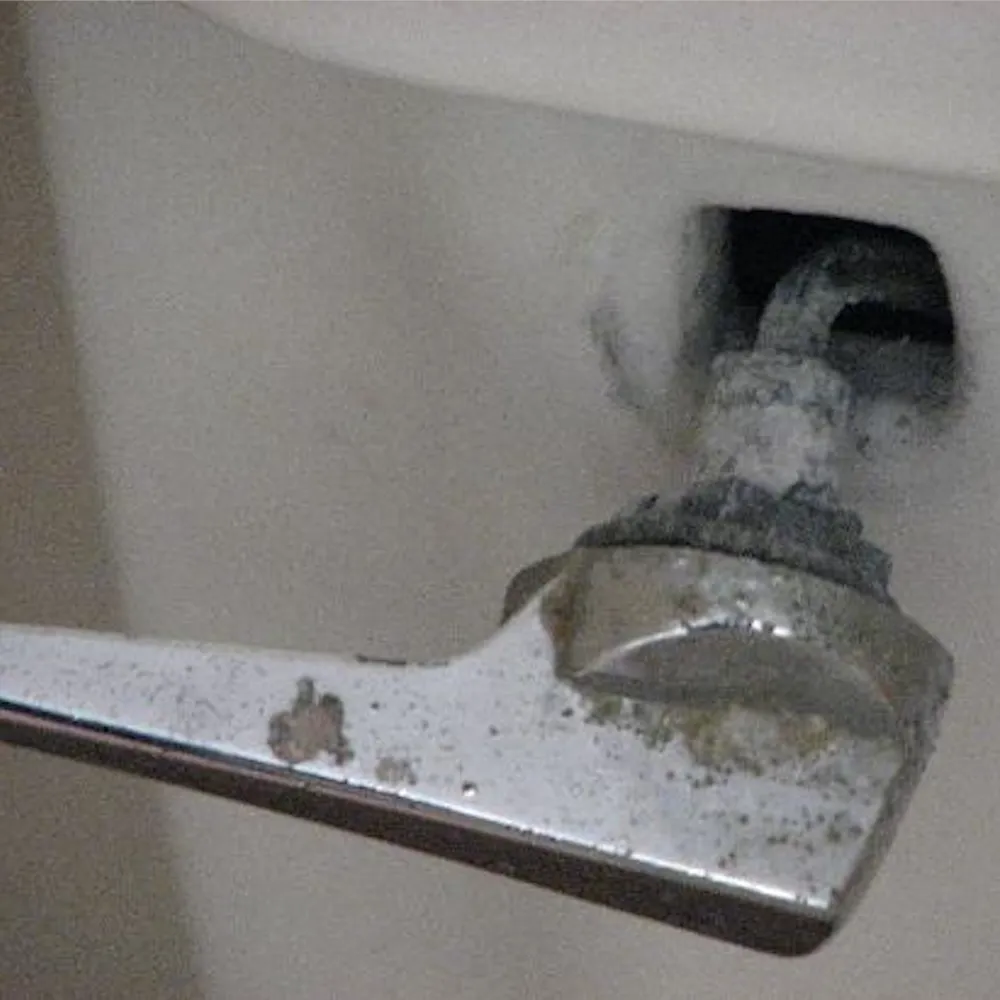 Slide of Toilet Repair Guy