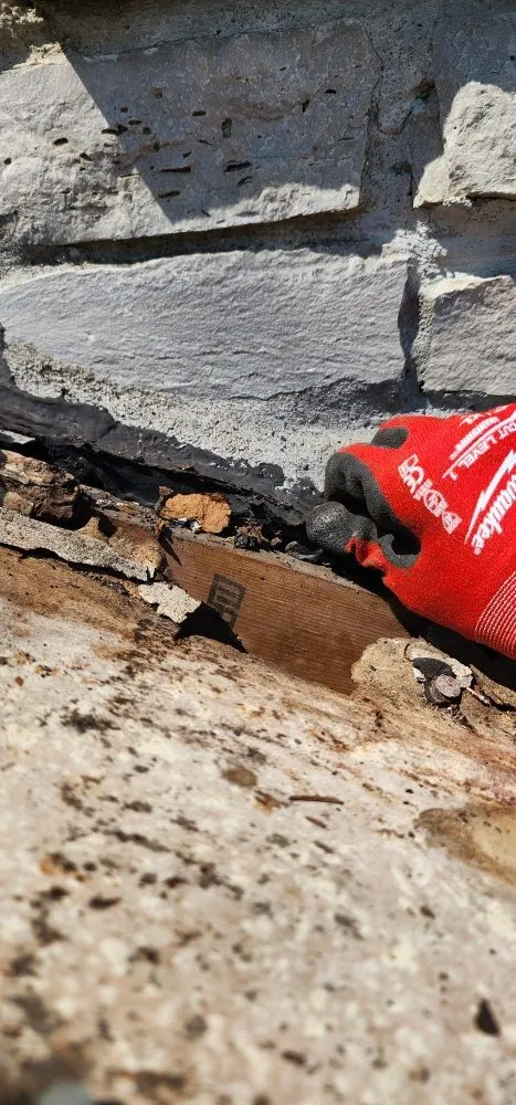 Slide of Toj Sokhtmon