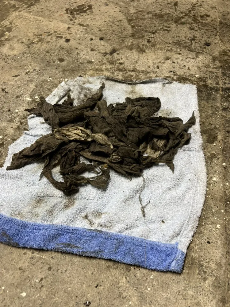 Quality drain cleaning experts serving Allentown, PA - Tommy Malozi Jr Sewer Drain and Plumbing