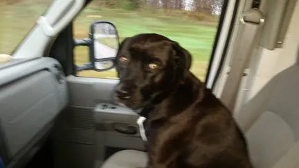 Slide of Tom's Plumbing Solutions