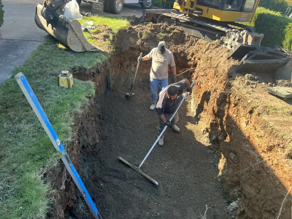 Slide of Tom's Septic