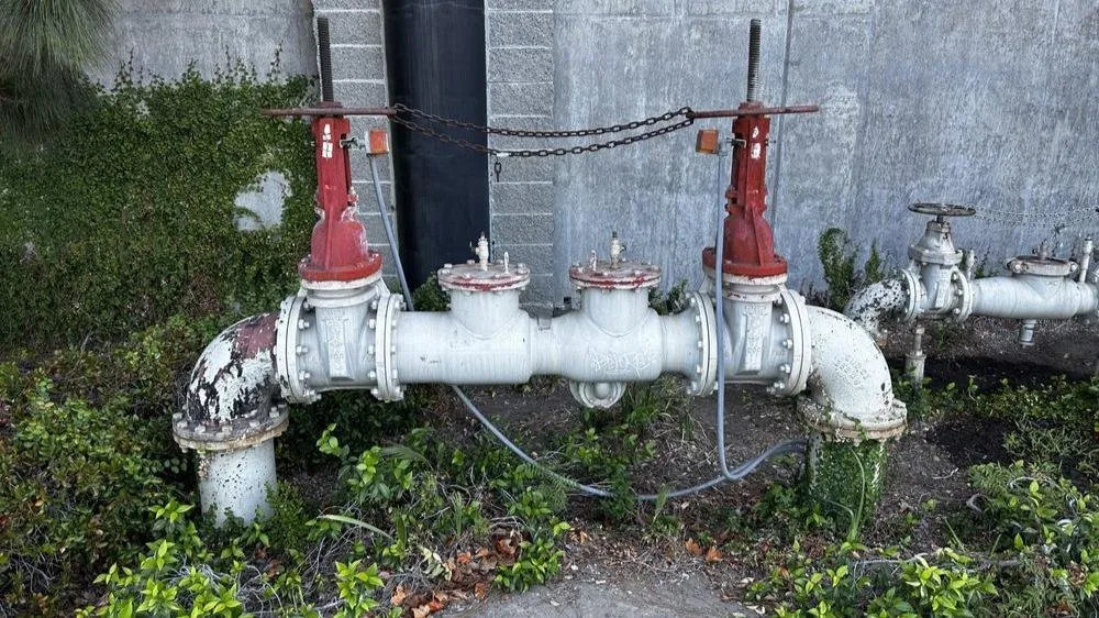 Slide of Tongate Backflow