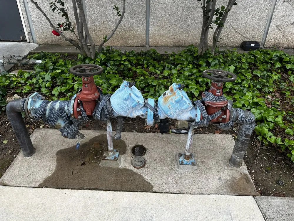 Slide of Tongate Backflow