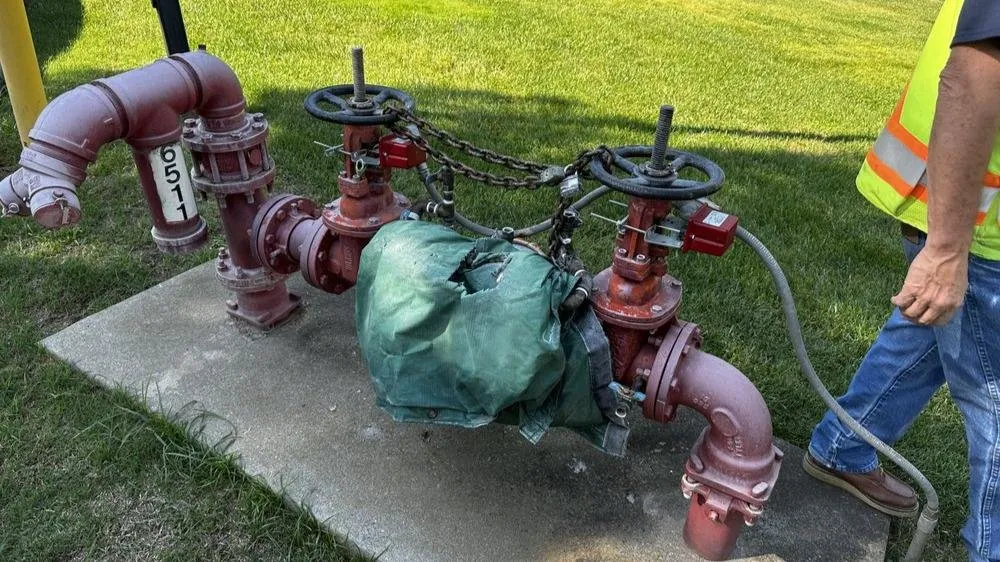 Slide of Tongate Backflow