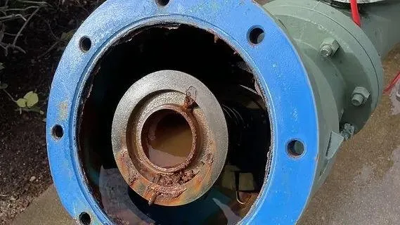 Slide of Tongate Backflow