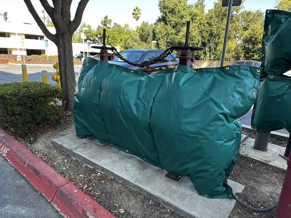 Slide of Tongate Backflow