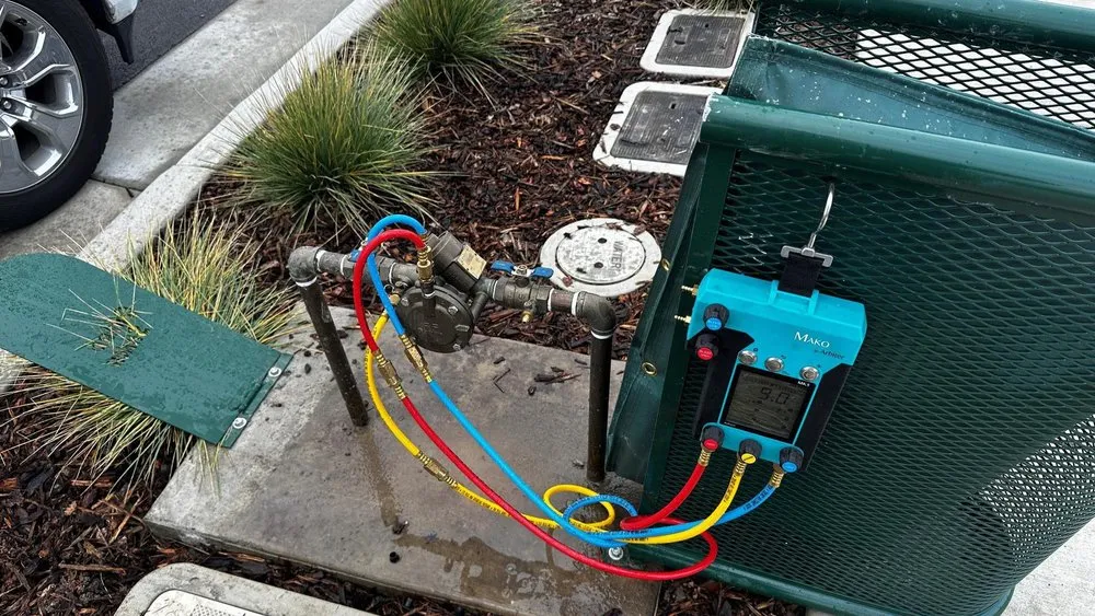 Slide of Tongate Backflow