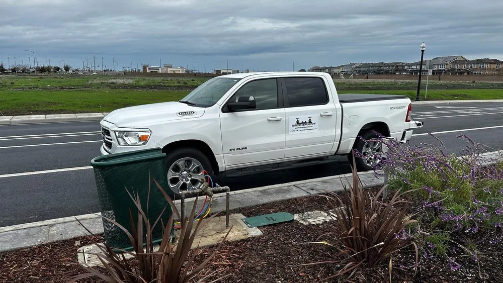 Slide of Tongate Backflow