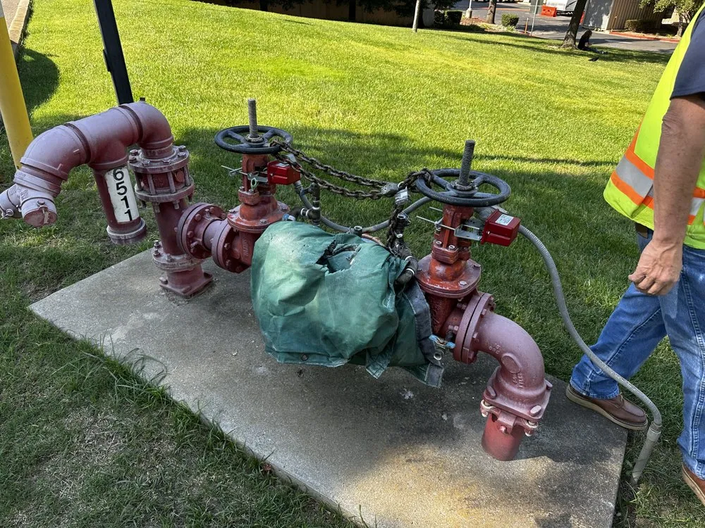 Slide of Tongate Backflow