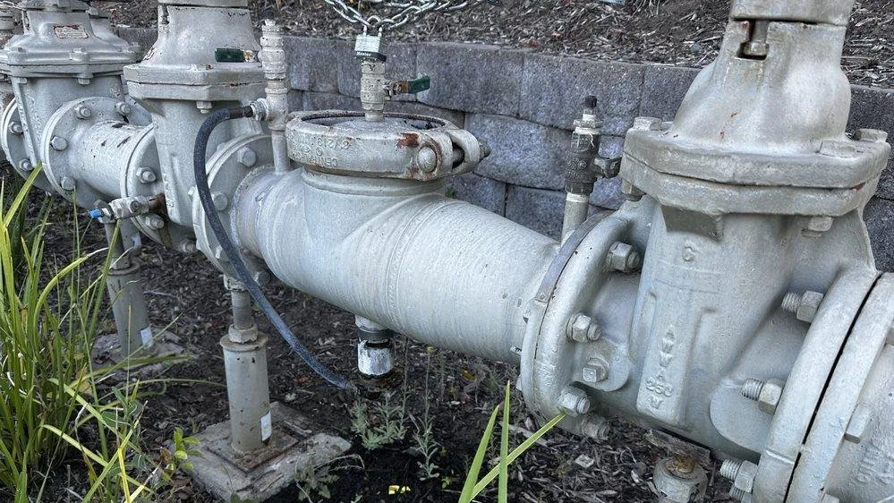 Slide of Tongate Backflow