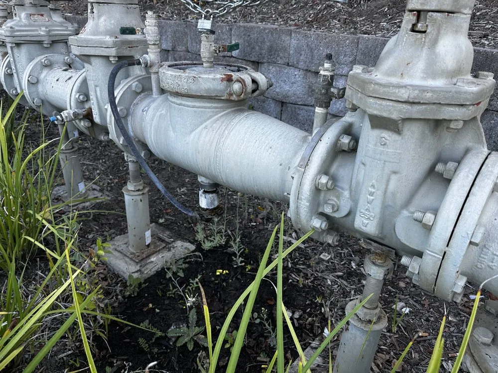 Slide of Tongate Backflow