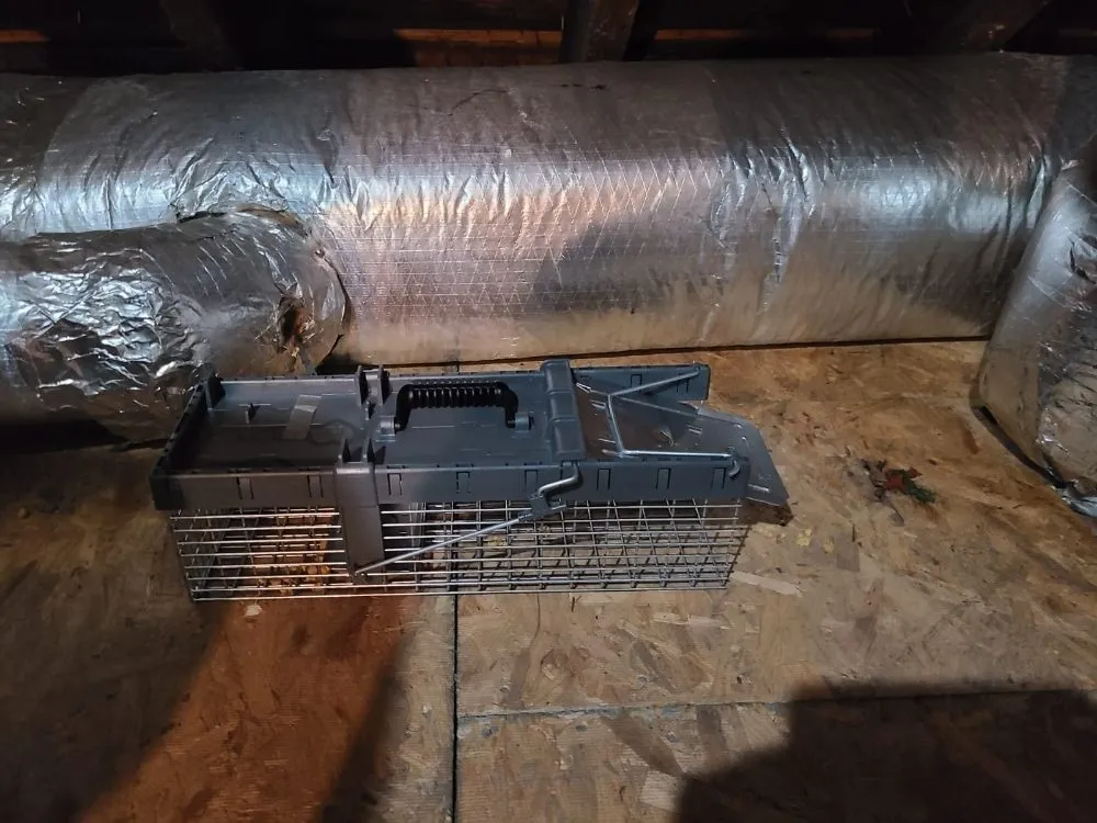 Slide of Tony G Tech Plumbing Services