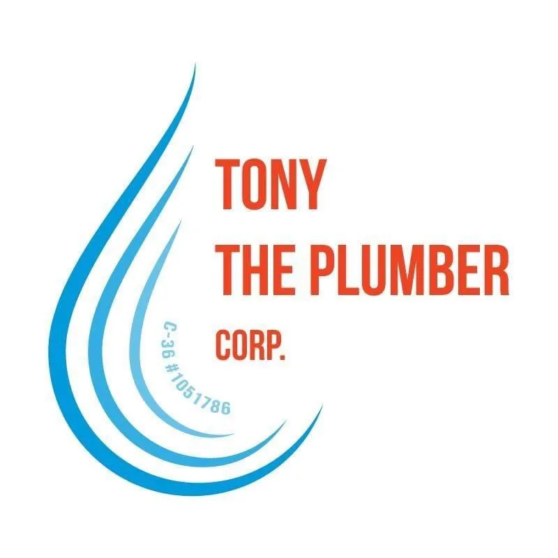 Slide of Tony The Plumber