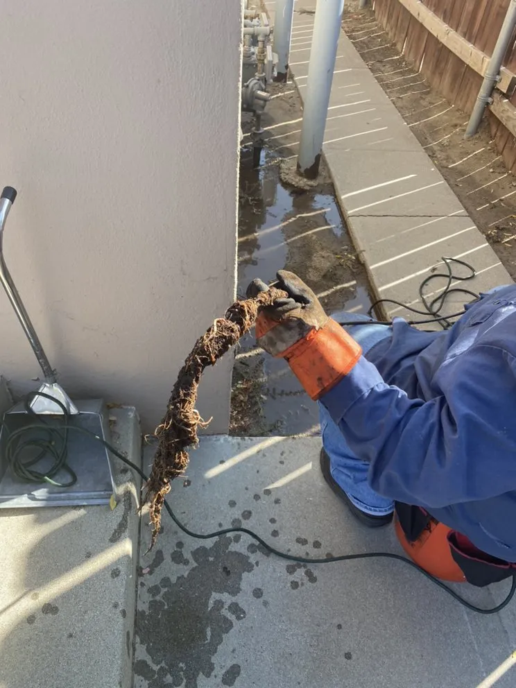 Slide of Tony's Rooter Service