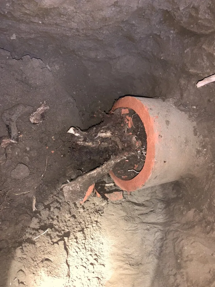 Top-rated plumbing repair in Fontana, CA by Tony's Rooter Service