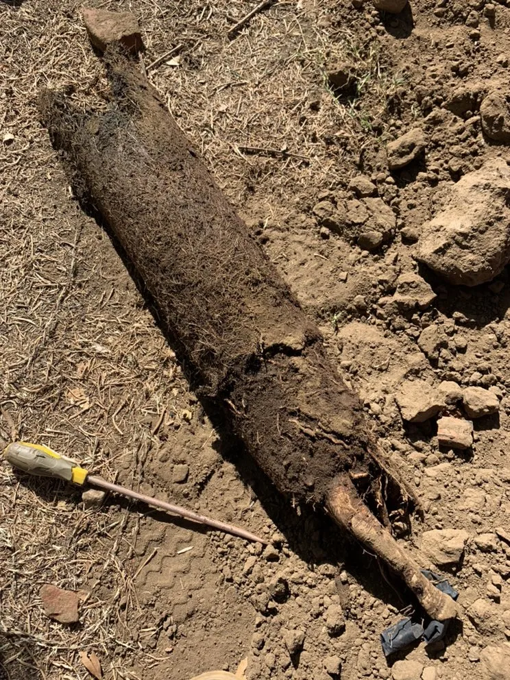 Slide of Tony's Rooter Service