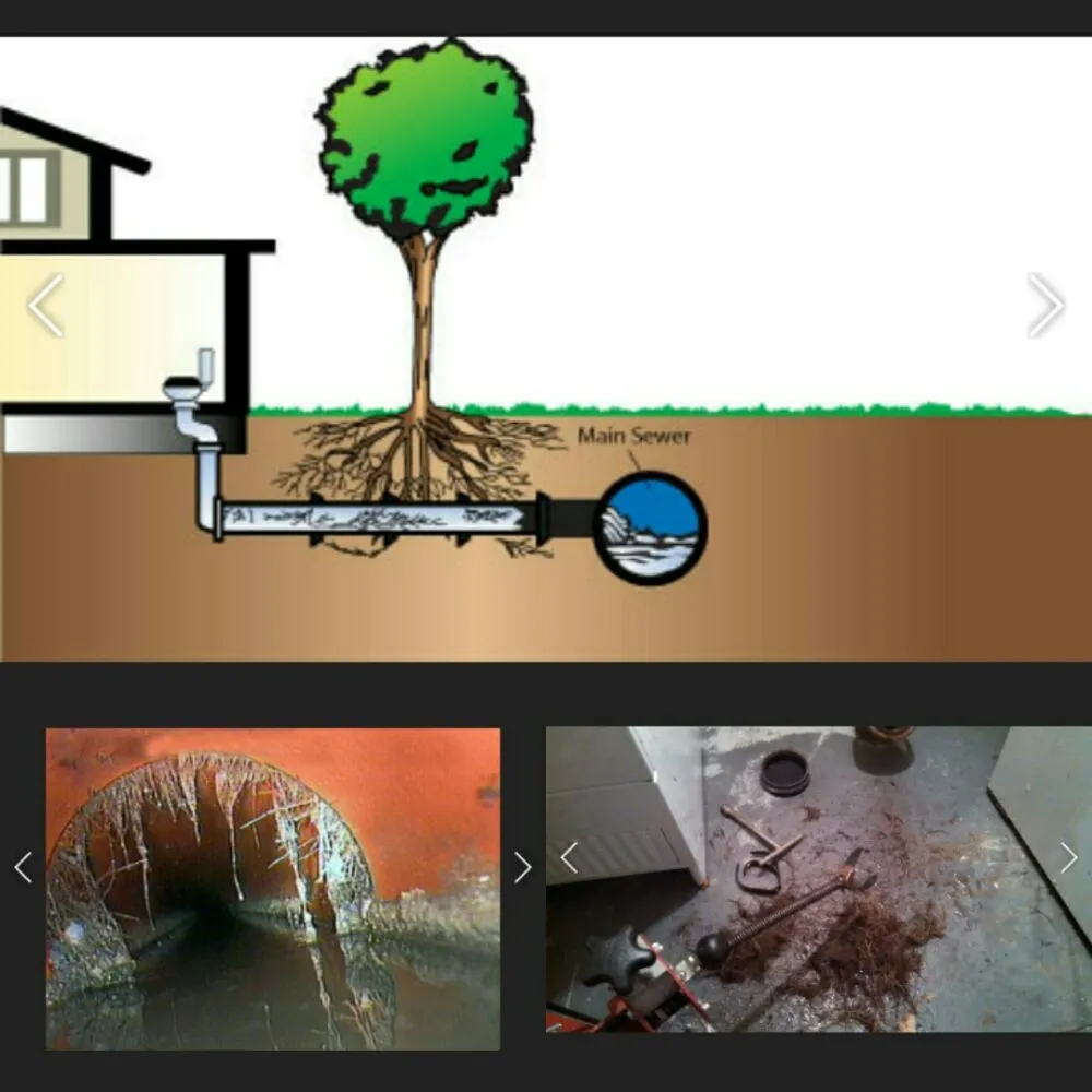 Slide of Tony's Rooter Service