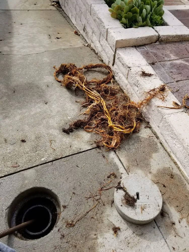 Slide of Tony's Rooter Service