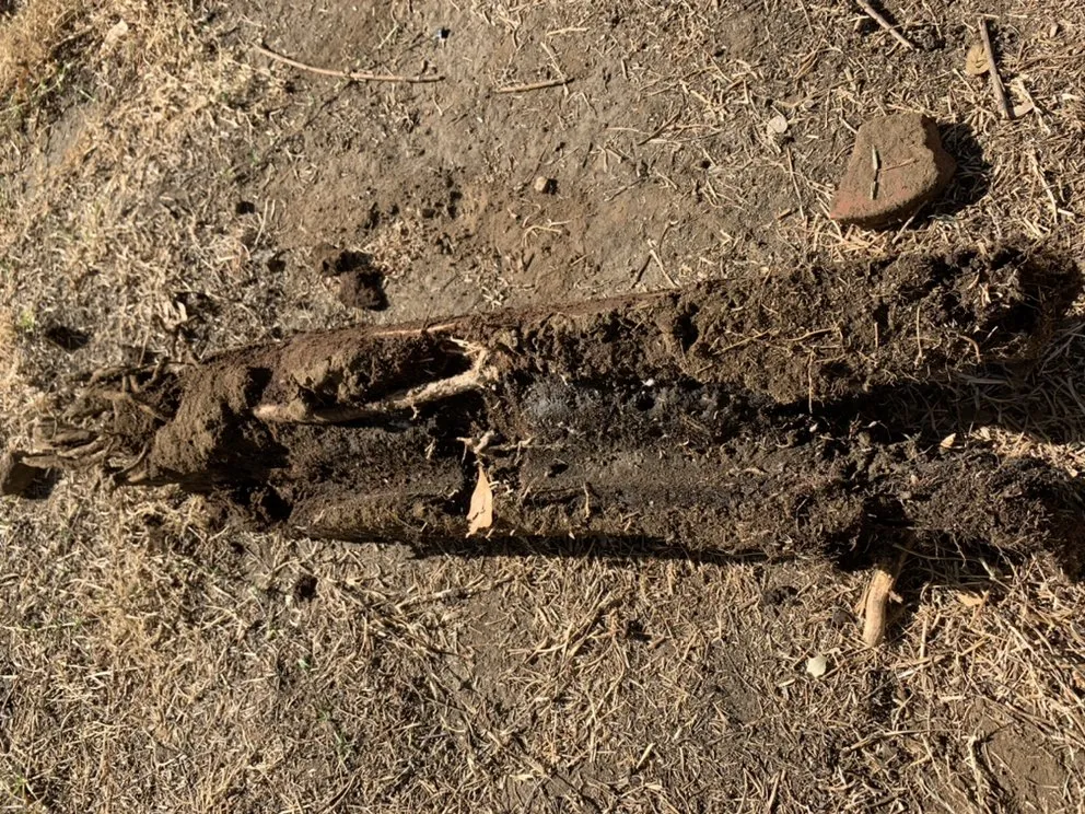 Slide of Tony's Rooter Service