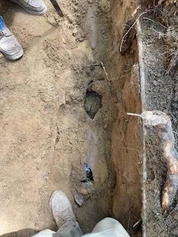 Slide of Tooter Rooter