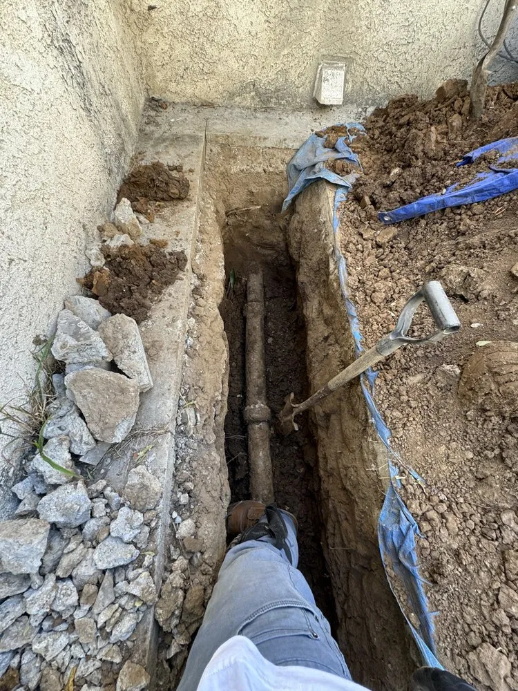 Slide of Top Class Rooter