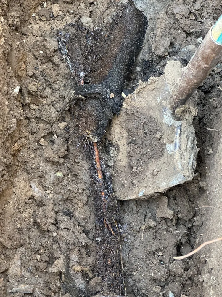 Slide of Top Class Rooter