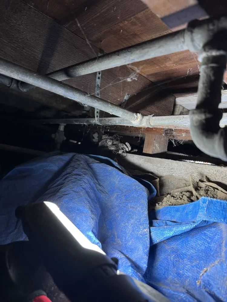 Slide of Top Class Rooter