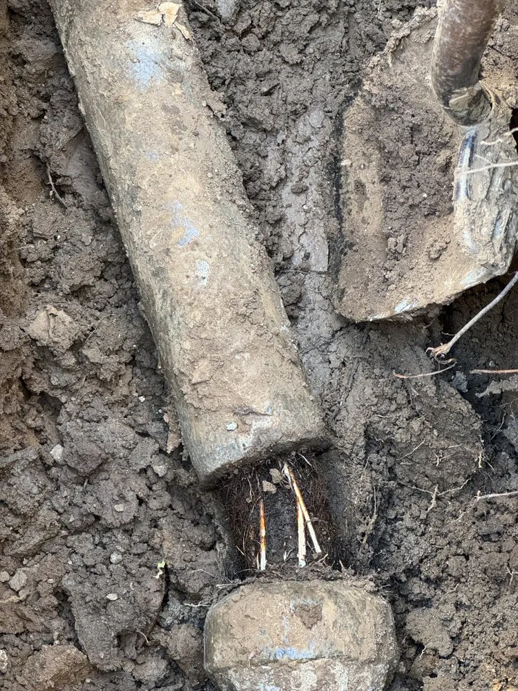 Slide of Top Class Rooter