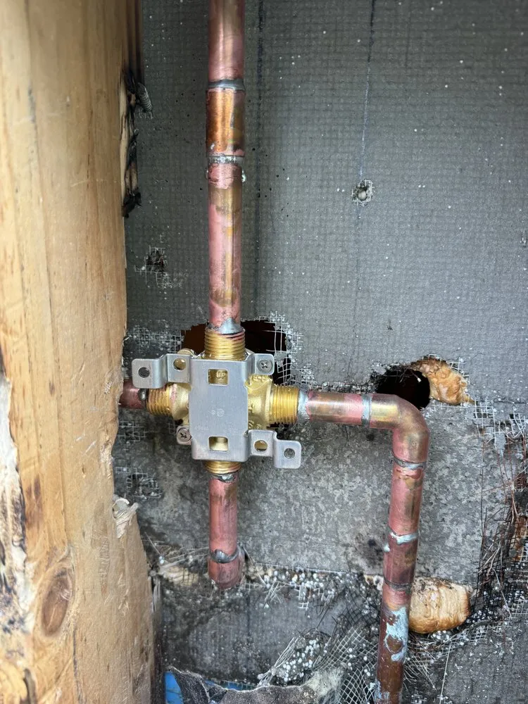 Slide of Top Class Rooter