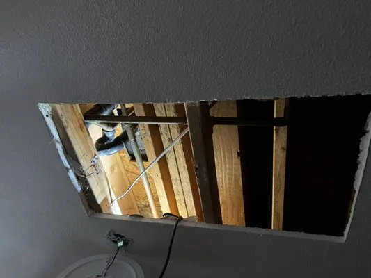 Top Class Rooter Logo