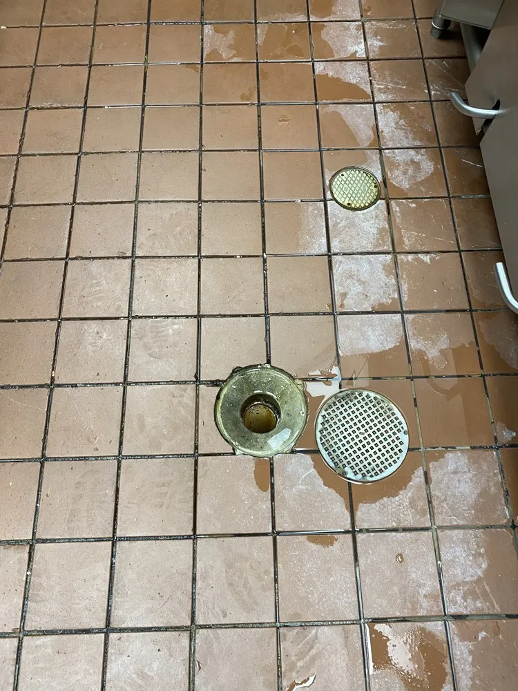 Slide of Top Dog Drain & Sewer Cleaning