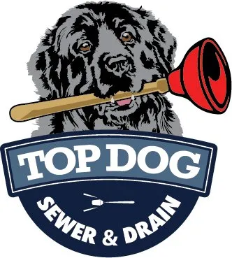 Slide of Top Dog Sewer & Drain