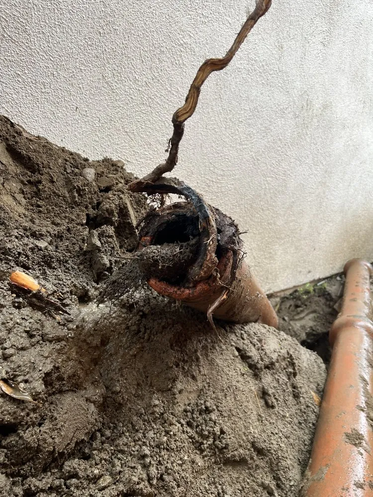 Slide of Top Flight Rooter & Plumbing