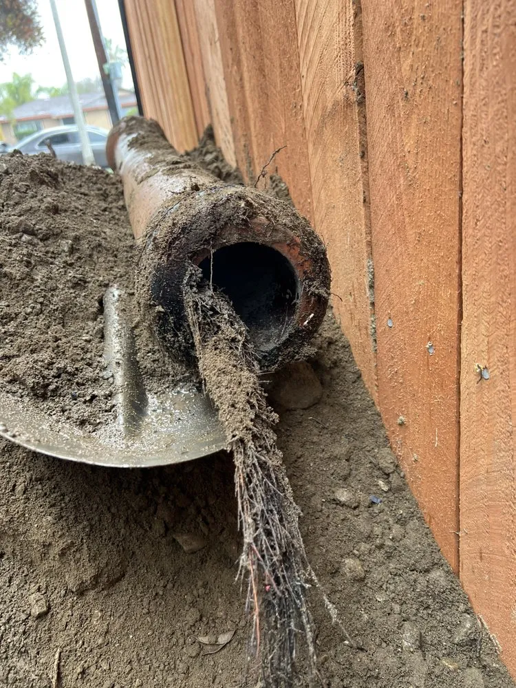 Quality drain cleaning experts serving Pomona, CA - Top Flight Rooter & Plumbing