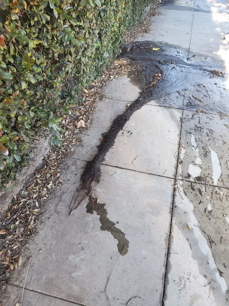 Slide of Top G Plumbing