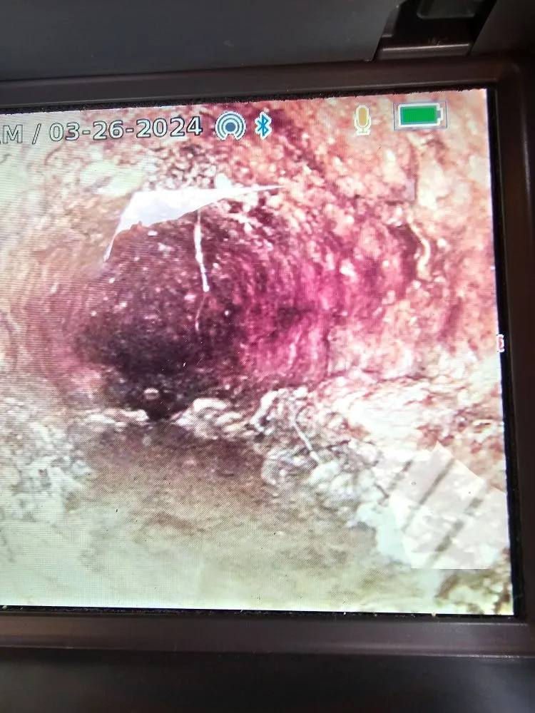 Slide of Top Gun Rooter