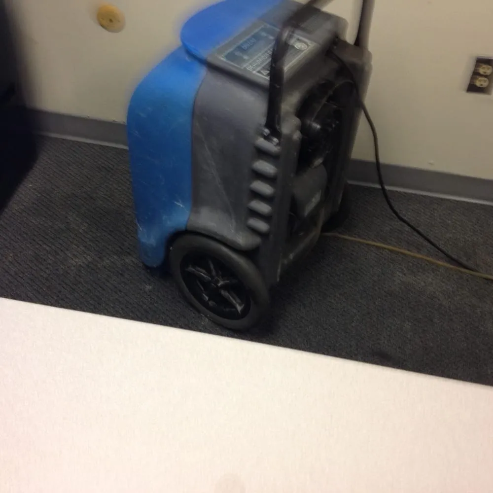 Slide of Top Job Carpet Cleaning