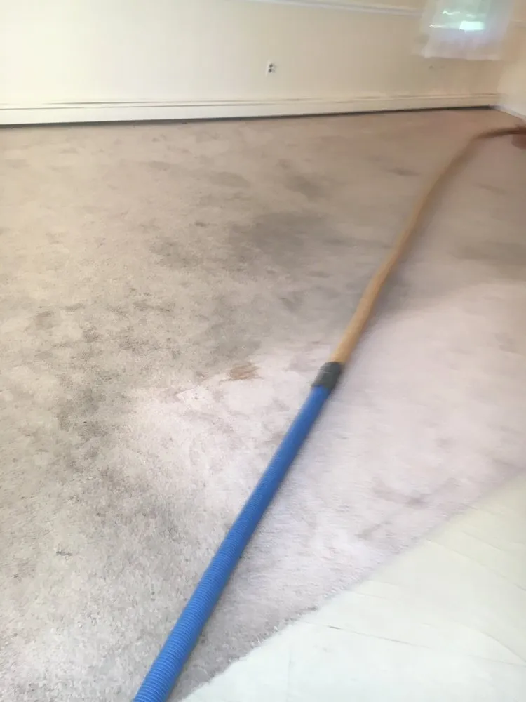 Slide of Top Job Carpet Cleaning