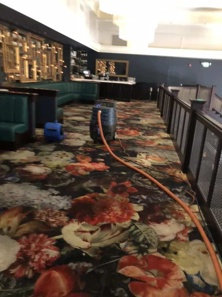 Slide of Top Job Carpet Cleaning