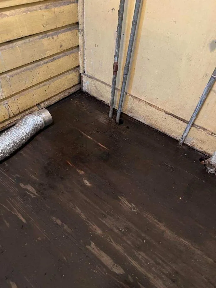 Reliable drain cleaning service in Docena, AL - Top Notch Construction