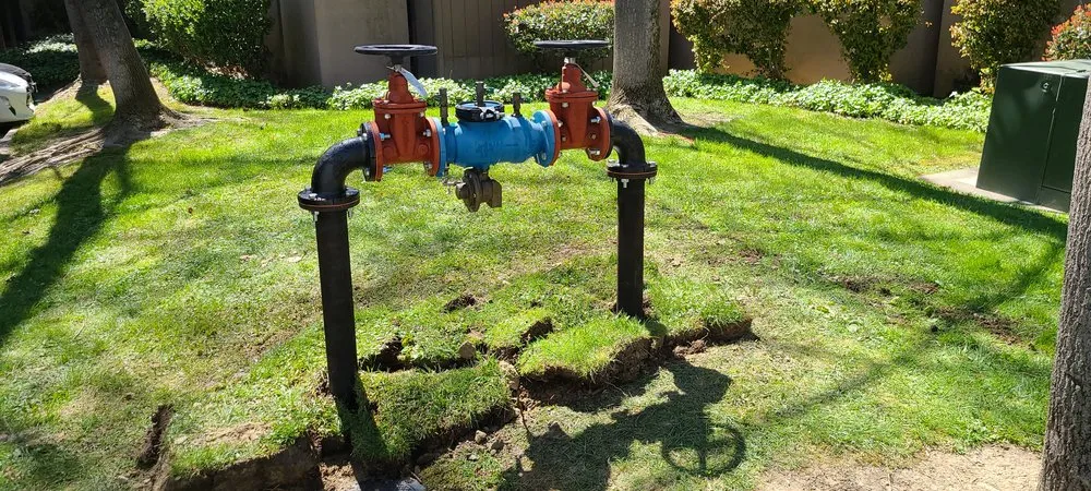 Slide of Top Priority Backflow