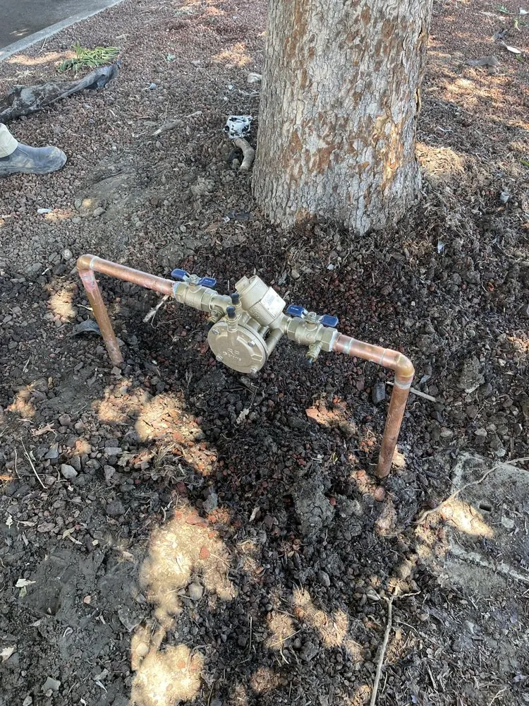 Slide of Top Priority Backflow