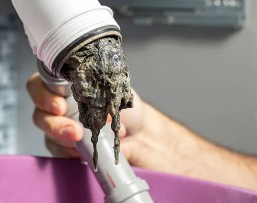 Top Sewer Mar Vista Logo