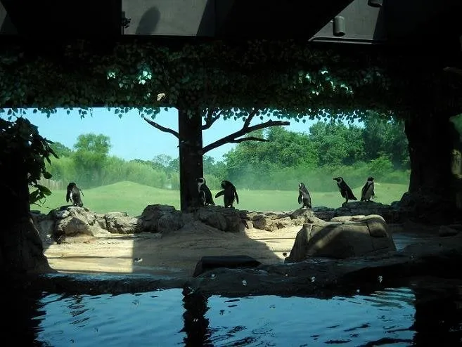 Professional drain cleaning in Richland Hills, TX by TopTech Electric & Plumbing