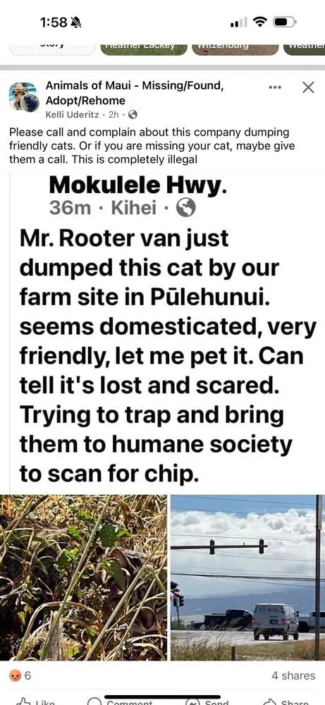 Slide of Torigoe M Plumbing