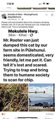 Torigoe M Plumbing Logo